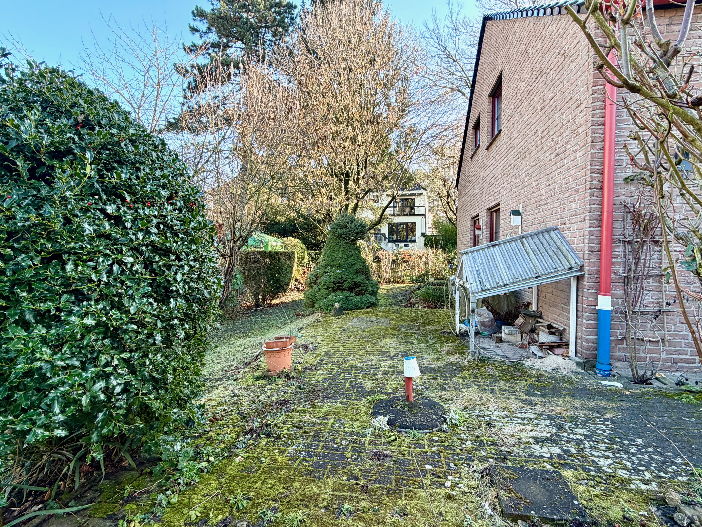 EFH86926 - EFH86926_06